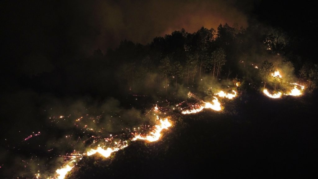 Feuerfront in einem Waldgebiet in Kalimantan auf Borneo, aufgenommen bei Nacht.